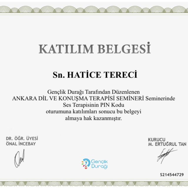 Resmi büyüt: certificate 27