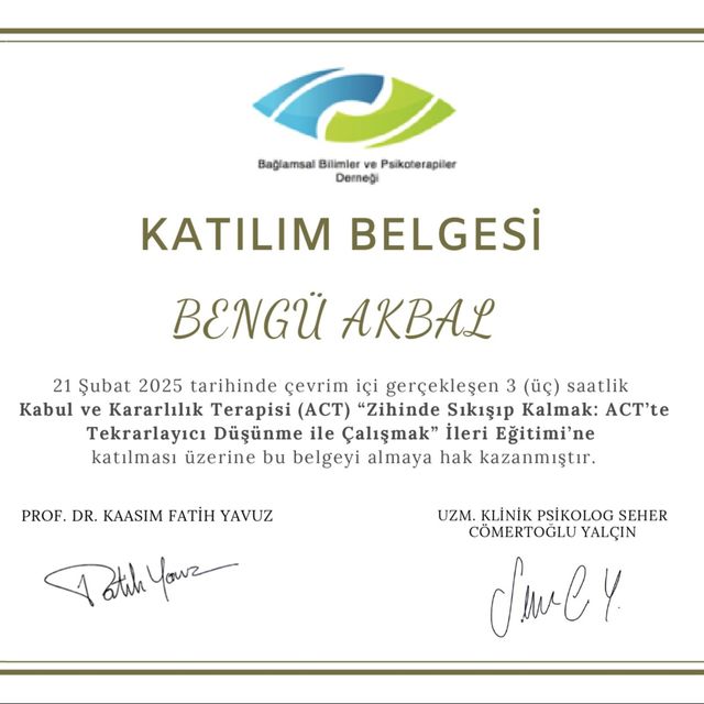 Resmi büyüt: certificate 1