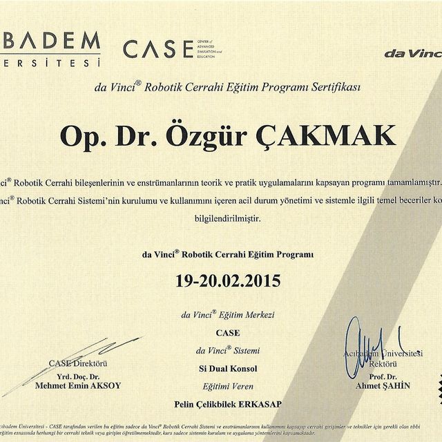 Resmi büyüt: certificate 3