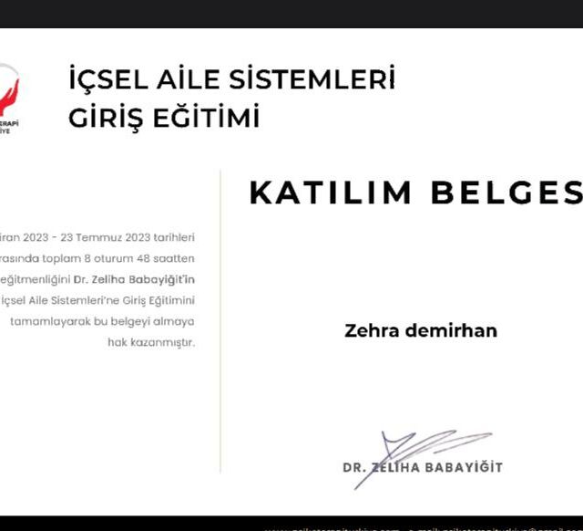 Resmi büyüt: certificate 3