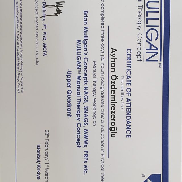 Resmi büyüt: certificate 1