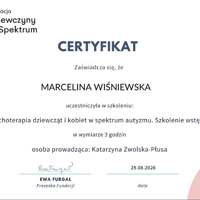 Powiększ obraz: certificate 11
