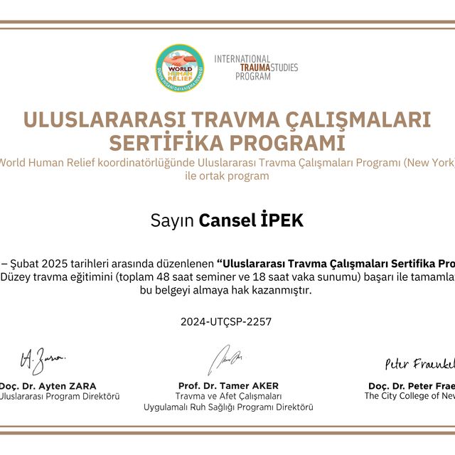 Resmi büyüt: certificate 2