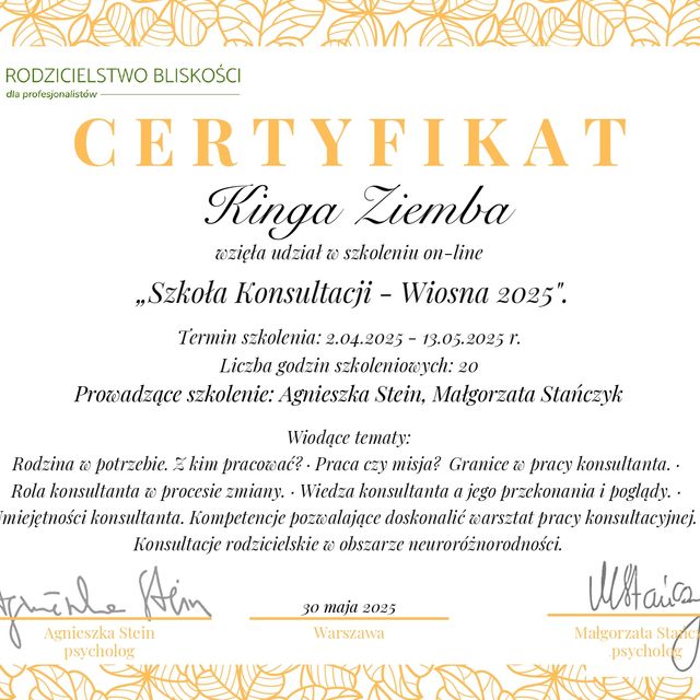 Powiększ obraz: certificate 7