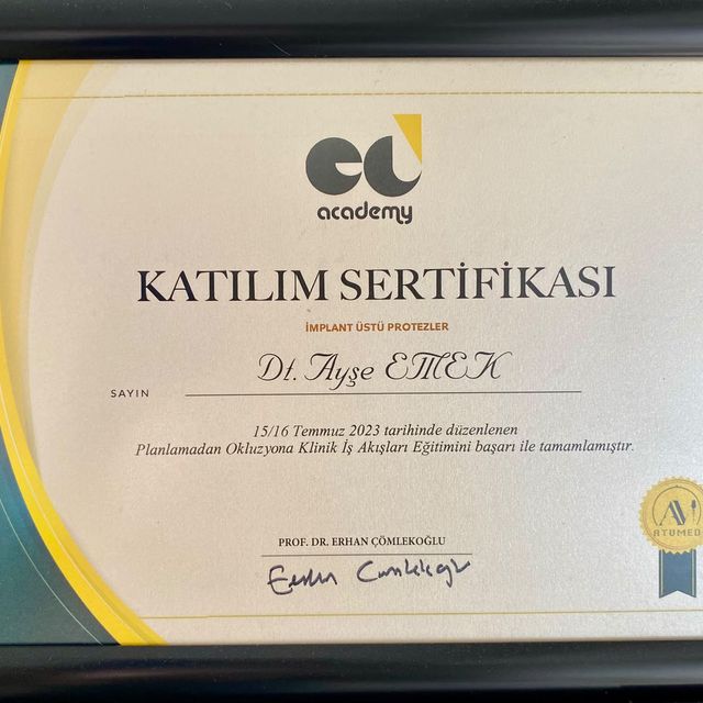 Resmi büyüt: certificate 2