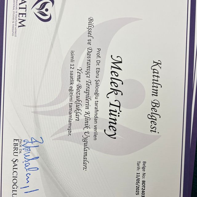 Resmi büyüt: certificate 5