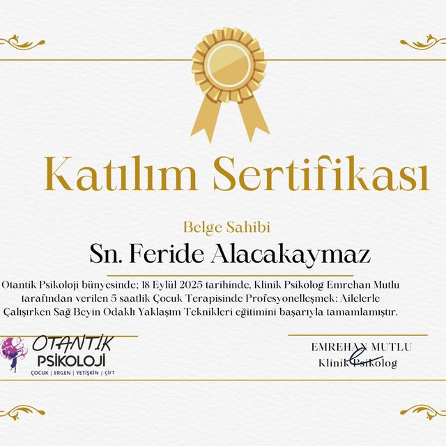 Resmi büyüt: certificate 4