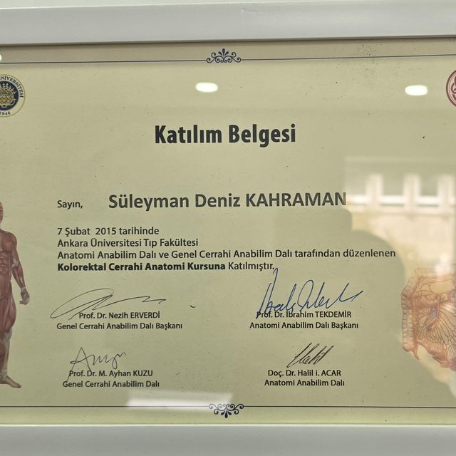 Resmi büyüt: certificate 11