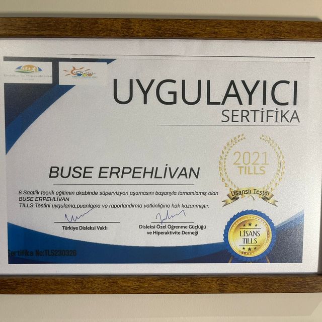 Resmi büyüt: certificate 5