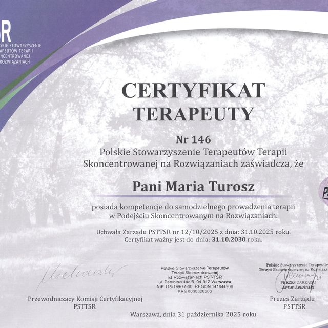 Powiększ obraz: certificate 1