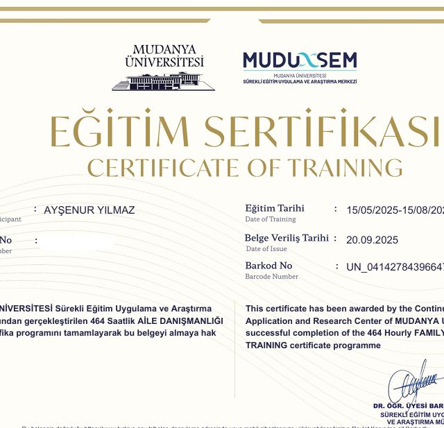 Resmi büyüt: certificate 3