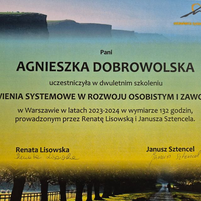 Powiększ obraz: certificate 8