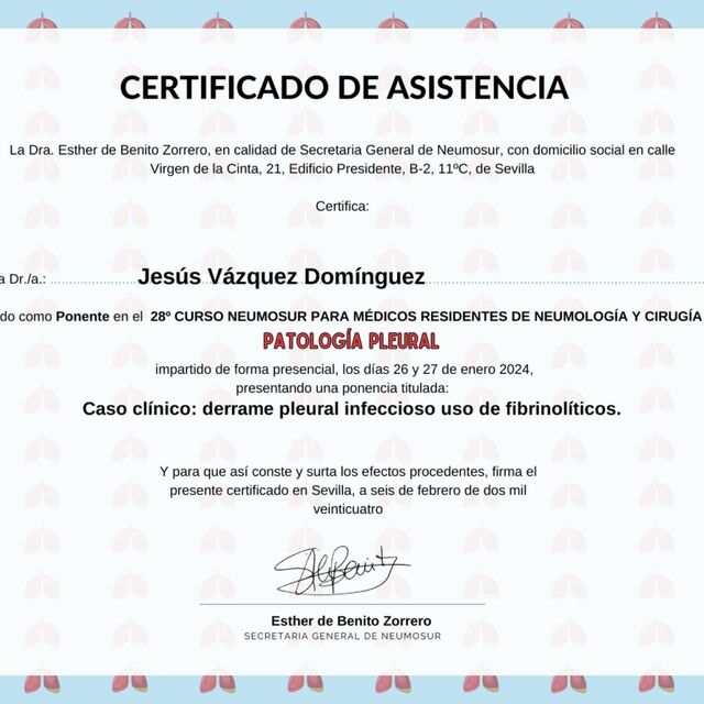 Acercar imagen: certificate 12