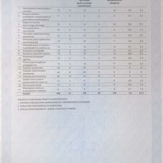 Powiększ obraz: certificate 2