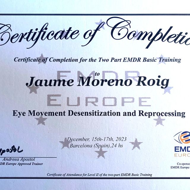 Acercar imagen: certificate 8