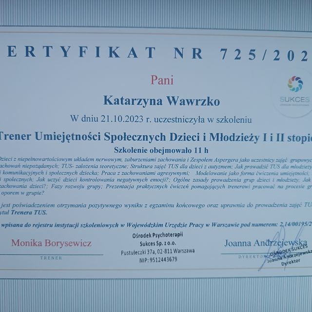 Powiększ obraz: certificate 19