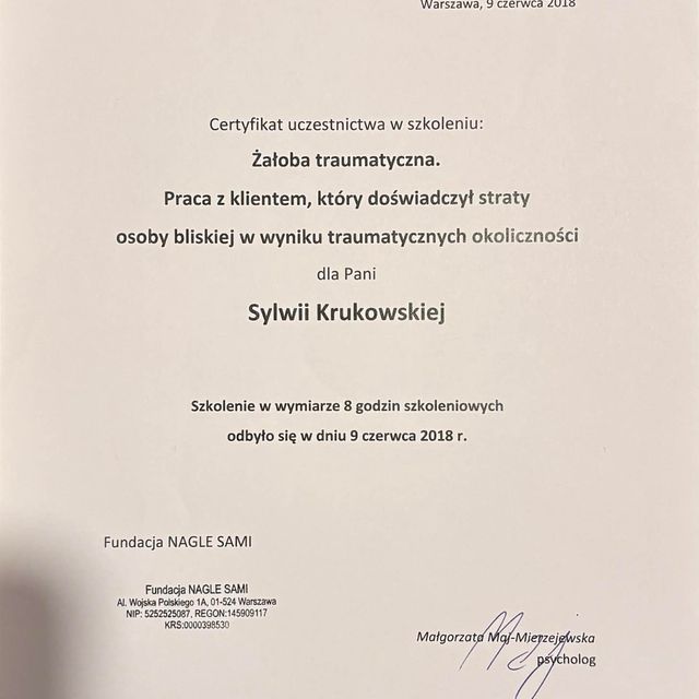 Powiększ obraz: certificate 3