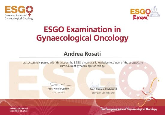 Ingrandire l'immagine: certificate 2