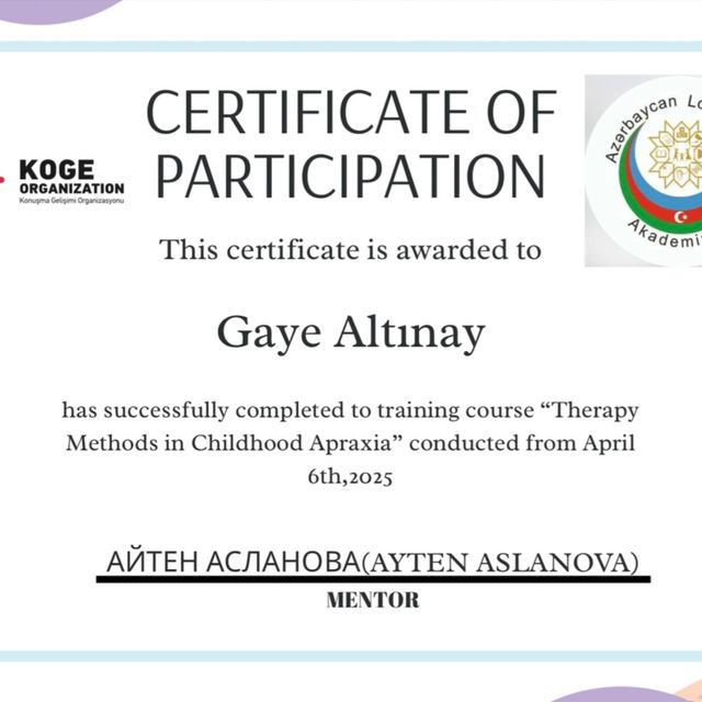 Resmi büyüt: certificate 16