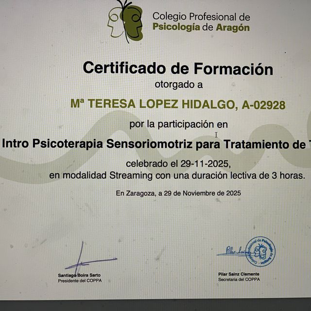 Acercar imagen: certificate 10
