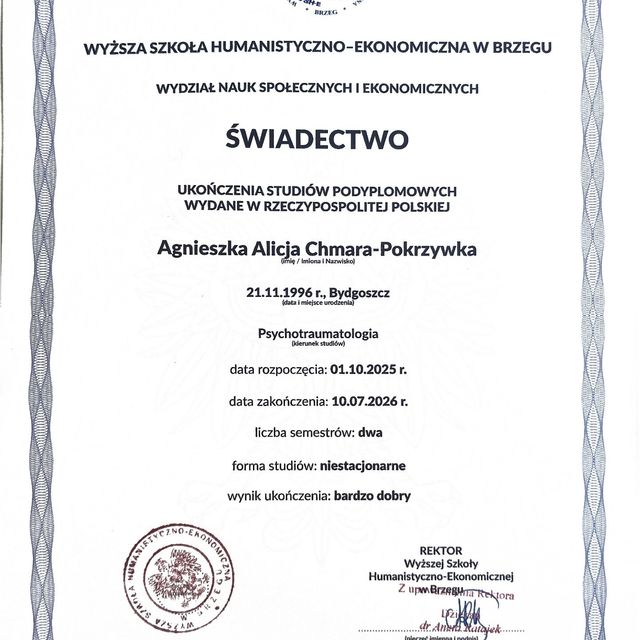 Powiększ obraz: certificate 2