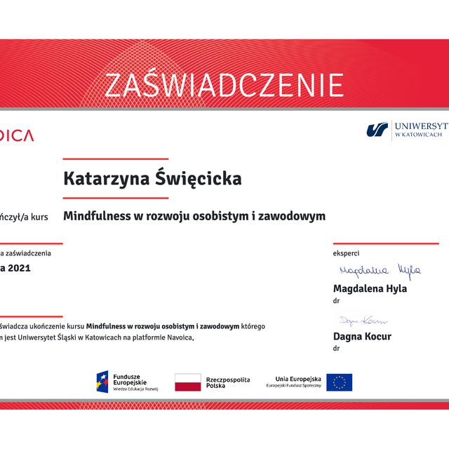 Powiększ obraz: certificate 1
