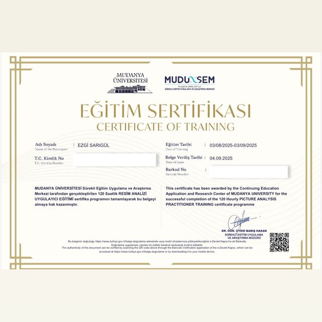 Resmi büyüt: certificate 2