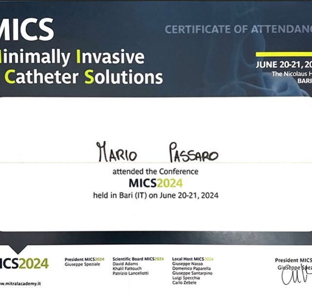 Ingrandire l'immagine: certificate 4