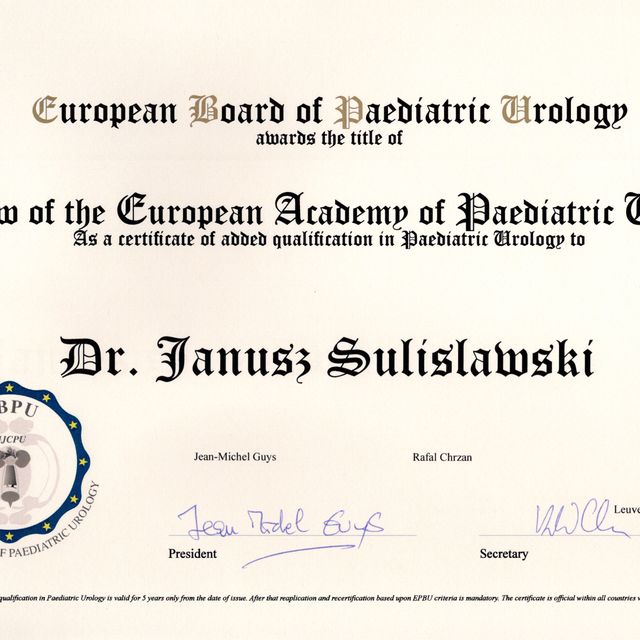 Powiększ obraz: certificate 4