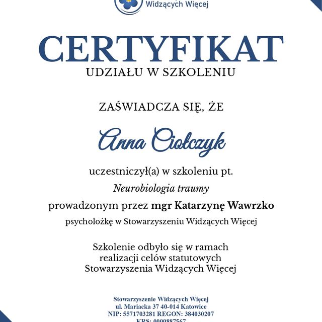 Powiększ obraz: certificate 4
