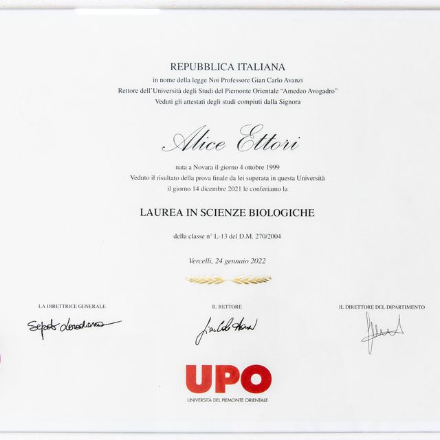 Ingrandire l'immagine: certificate 2