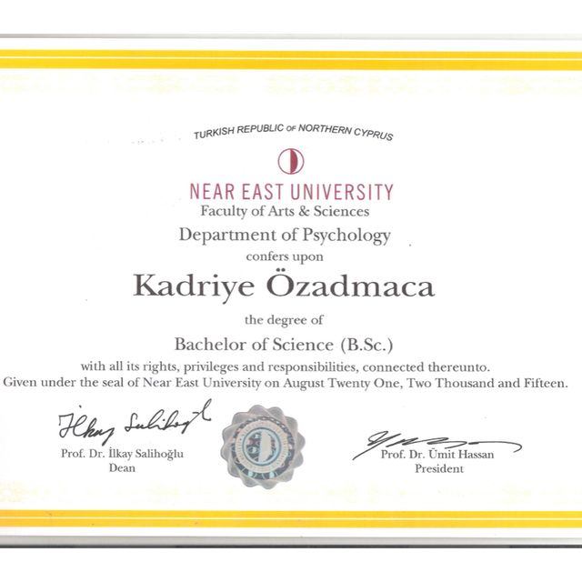 Resmi büyüt: certificate 2