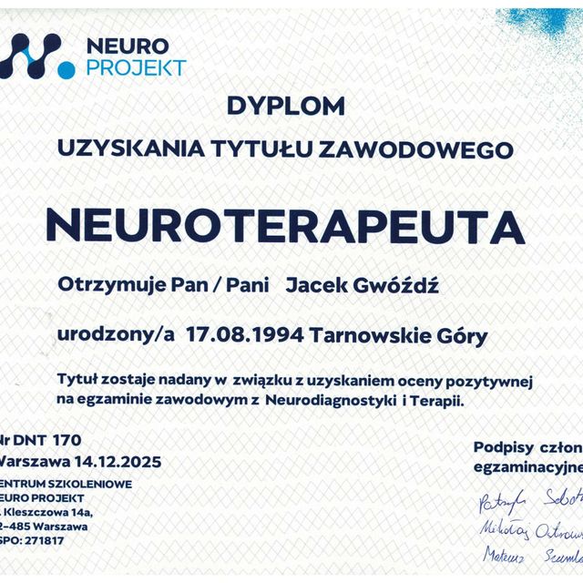 Powiększ obraz: certificate 1