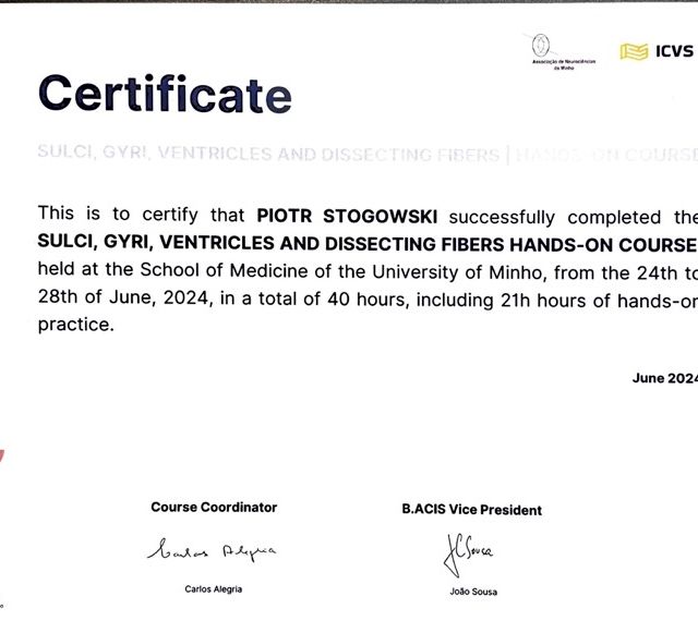 Powiększ obraz: certificate 26