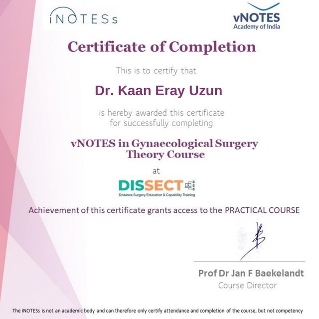 Resmi büyüt: certificate 2