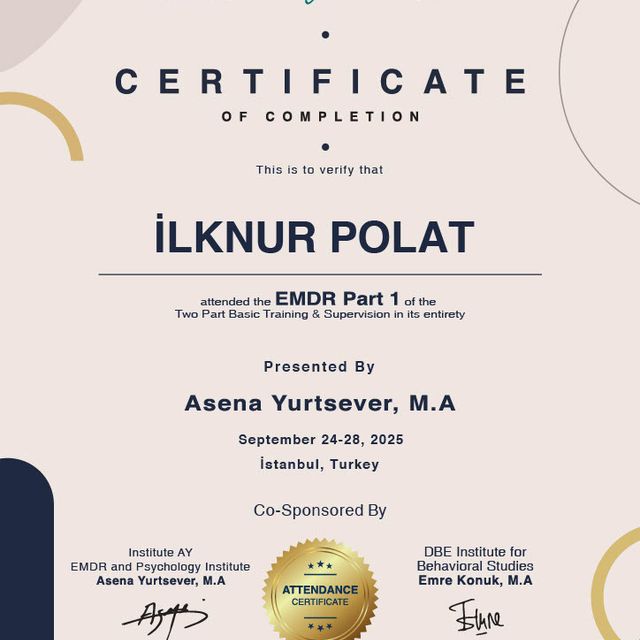 Resmi büyüt: certificate 1