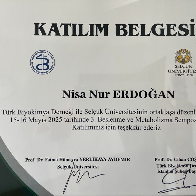 Resmi büyüt: certificate 3