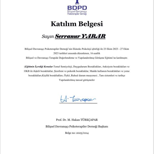 Resmi büyüt: certificate 1