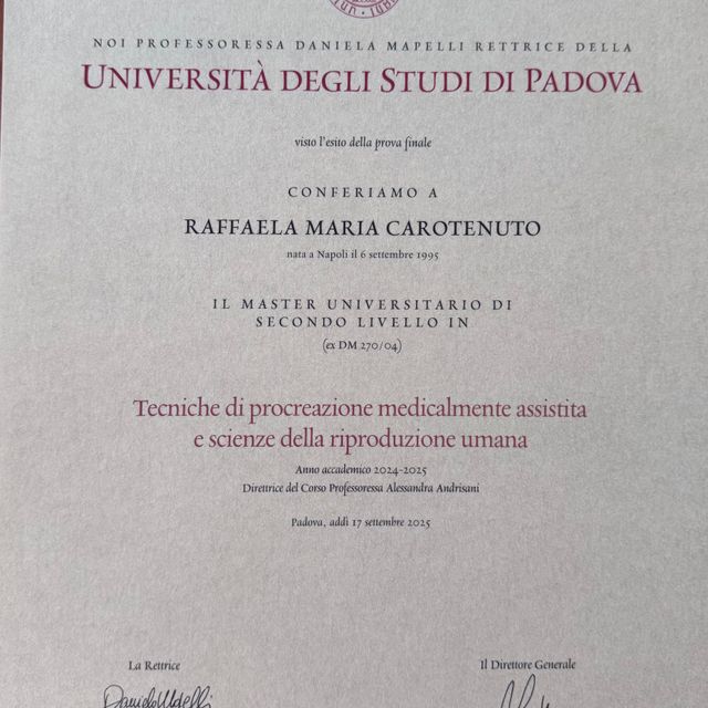 Ingrandire l'immagine: certificate 1
