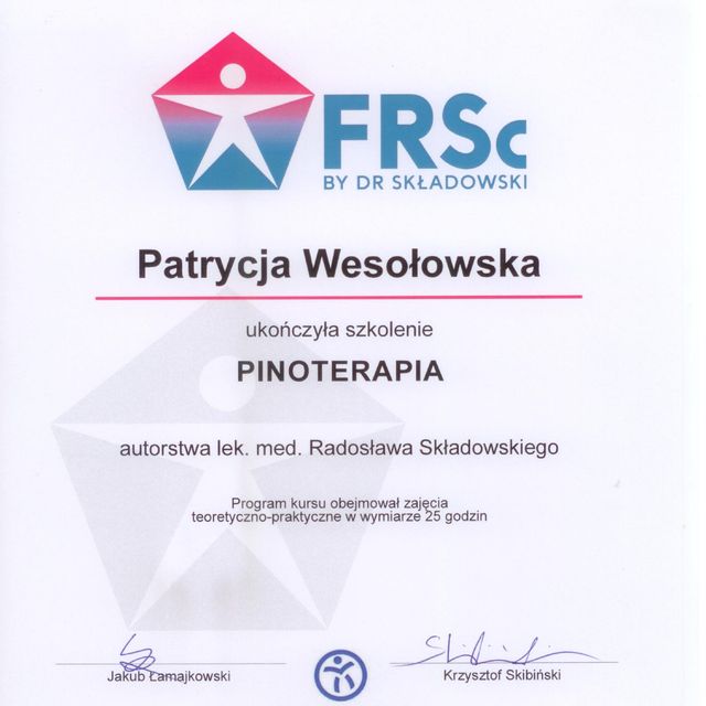 Powiększ obraz: certificate 4