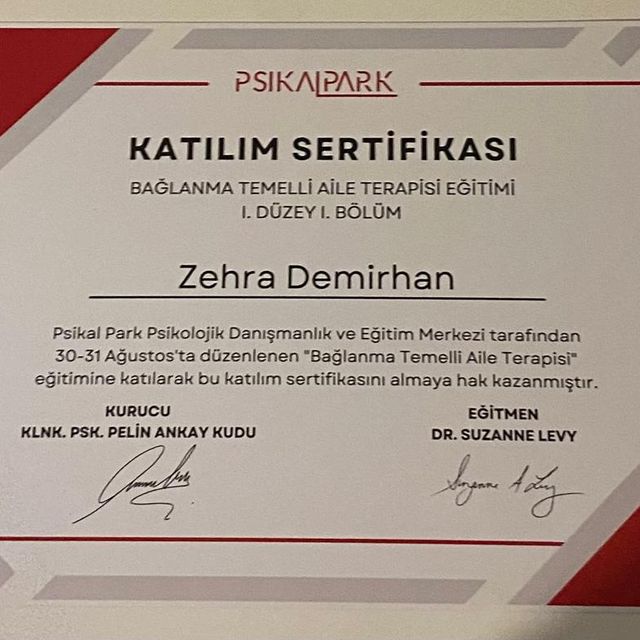 Resmi büyüt: certificate 2