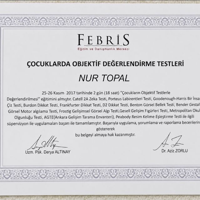 Resmi büyüt: certificate 6