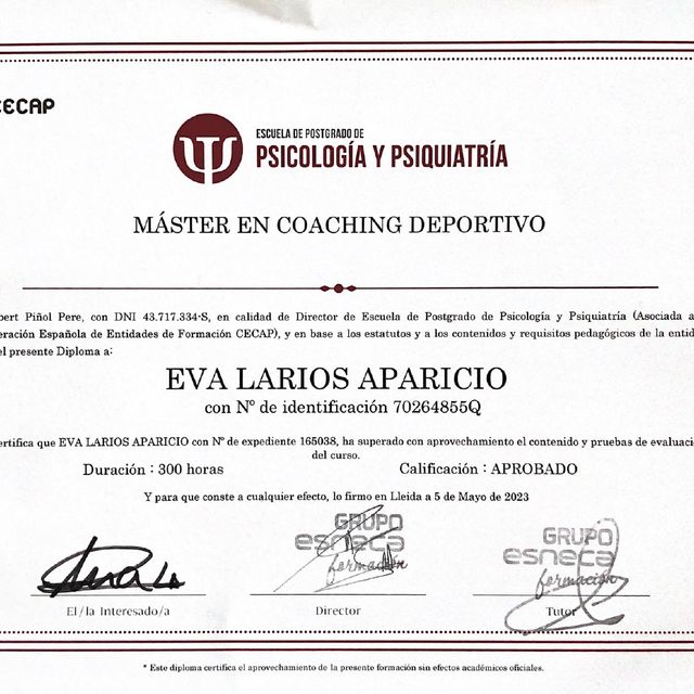 Acercar imagen: certificate 5