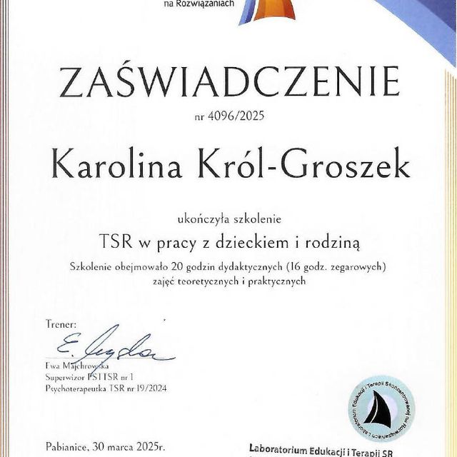 Powiększ obraz: certificate 4