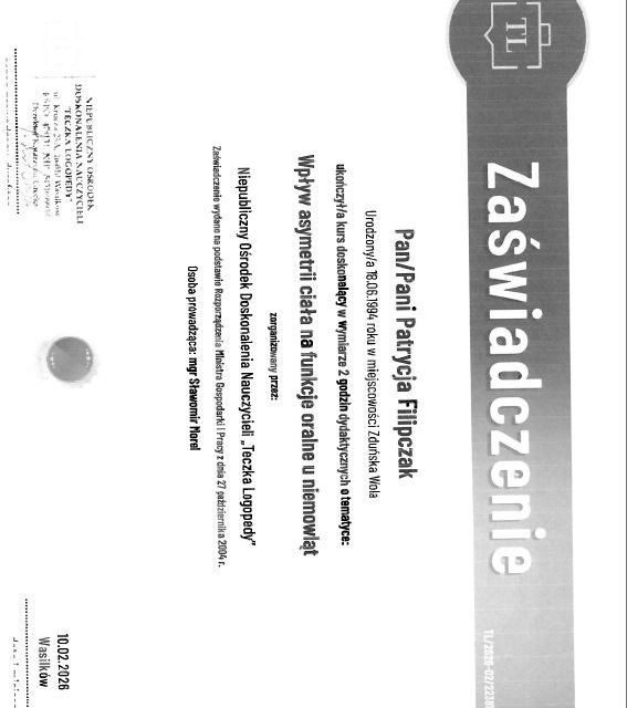Powiększ obraz: certificate 11