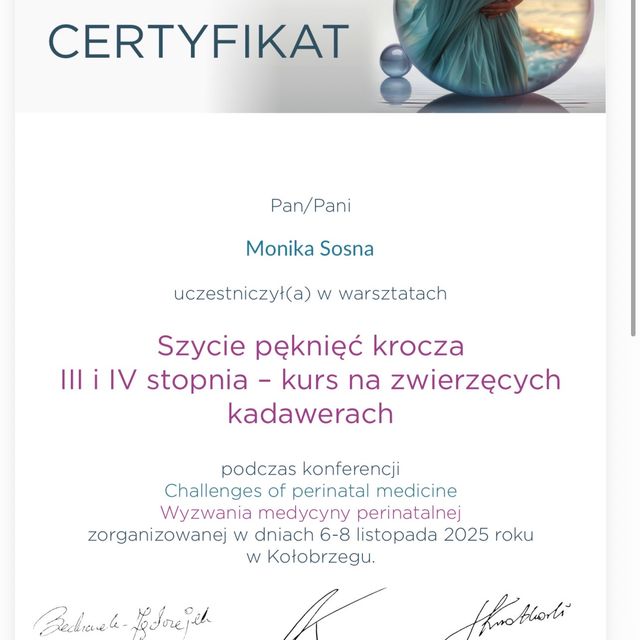 Powiększ obraz: certificate 1