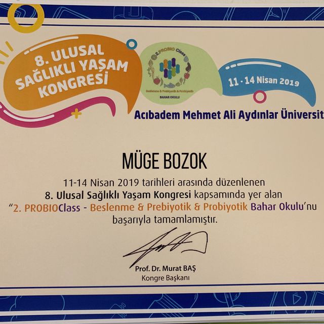 Resmi büyüt: certificate 2
