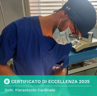 Ingrandire l'immagine: certificate 1