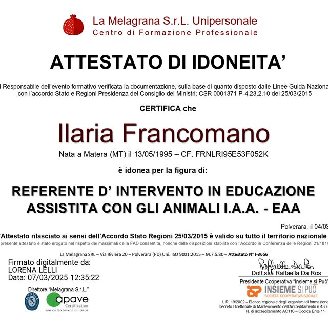 Ingrandire l'immagine: certificate 4