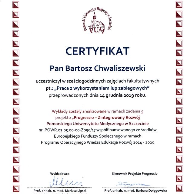 Powiększ obraz: certificate 20